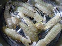 家常清蒸虾蛄做法图解6)