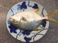 美味的煎金鯧鱼做法图解2)