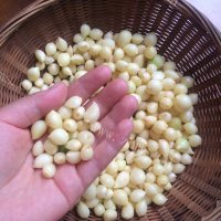 美味泡野葱果做法图解1)