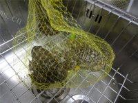 简易清蒸田鸡做法图解1)