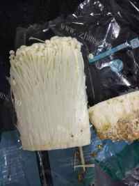 美味的蒜蓉蒸金针菇做法图解1)