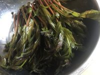 脆嫩可口的香椿酱做法图解1)
