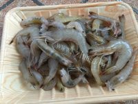 美味的油爆小黄海虾做法图解1)