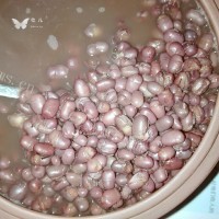 香甜的自制红豆沙做法图解3)