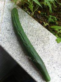 拍黄瓜（简单版）做法图解1)