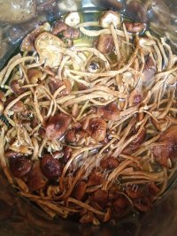 好吃的茶树菇焖五花肉做法图解2)