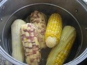 甜玉米做法图解4)