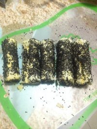 珍馐美味的乳酪肉松卷做法图解7)