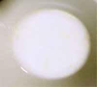 美食豇豆镶嵌珍珠丸做法图解19)