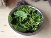 诱人的菠菜鸡蛋面做法图解2)