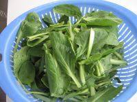 家常菜蒜香小油菜做法图解2)