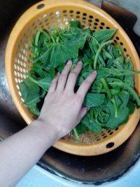 家常菜蒜香南瓜苗做法图解2)