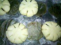 自己做的花瓣面包做法图解8)