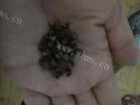 香飘十里的酸辣土豆丝做法图解2)