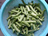 家常菜炒四季豆做法图解2)