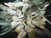 美味的红萝卜鱼骨汤做法图解3)
