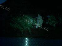 自制凉拌藕片做法图解3)
