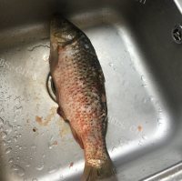 色香味俱全的红烧鲤鱼做法图解1)