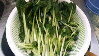家常菜蒜蓉青菜做法图解1)