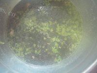 美味的紫菜瘦肉汤做法图解7)