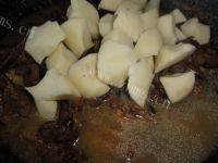 #美食派#小鸡炖蘑菇的做法图解七