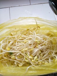 好吃的腐竹炒黄豆芽做法图解4)