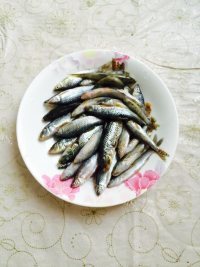 家常干煸小杂鱼做法图解1)