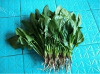 简易凉拌菠菜做法图解1)