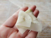 家常香椿菜肉馄饨做法图解5)