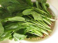 简单的菠菜粉丝做法图解2)