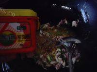 家常菜酱焖豆角做法图解4)