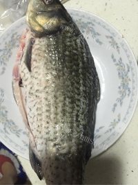 简单版鲫鱼豆腐汤做法图解1)
