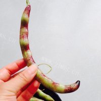 美味的柳叶煎饺做法图解3)