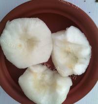 美味的苹果雪梨瘦肉汤做法图解3)