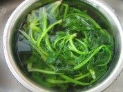 菠菜拌粉丝做法图解3)