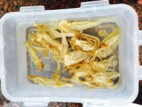 美味的鱼头白菜汤做法图解2)