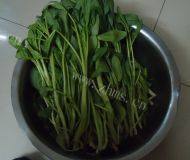 简单版清炒菠菜做法图解1)