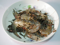 焦嫩咸鲜茶叶焗虾做法图解4)