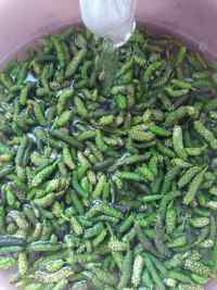 口感不错的蒸野菜做法图解1)