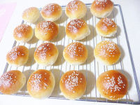 自制奶香小餐包
