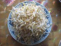 简单版豆芽炒韭菜做法图解3)