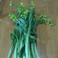 清淡的清炒菜心做法图解1)