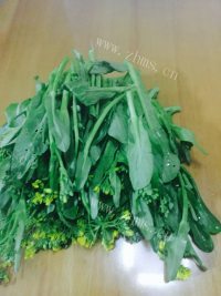 家常菜清炒菜心做法图解1)