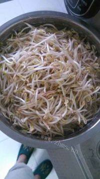 家常菜清炒豆芽做法图解1)