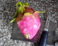 手工拌菜:火龙果皮拌圆白菜做法图解1)