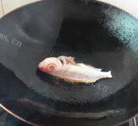 自制香菜豆腐鱼汤做法图解3)