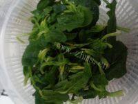 绝味的菠菜拌粉丝做法图解2)