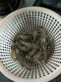 美味的青椒芹菜土豆丝做法图解1)