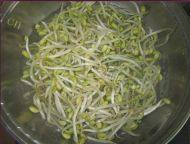 凉拌豆芽菜做法图解2)