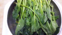垂涎欲滴的陈醋菠菜花生米做法图解4)